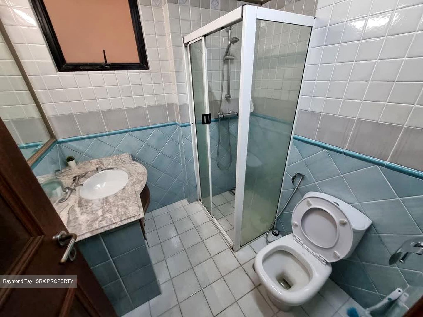 Dover Parkview (D5), Condominium #563307591